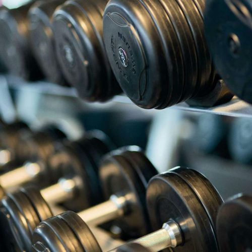 Close-up view of black dumbbells neatly arranged on a rack in a gym.