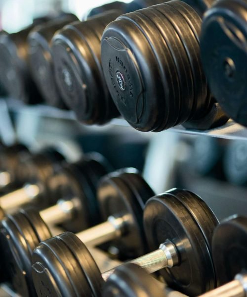 Close-up view of black dumbbells neatly arranged on a rack in a gym.